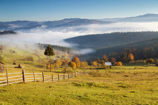 istock Foggy morning in Bucovina 1060433010