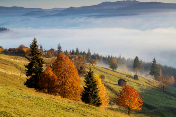 istock Foggy morning in Bucovina 1060433166