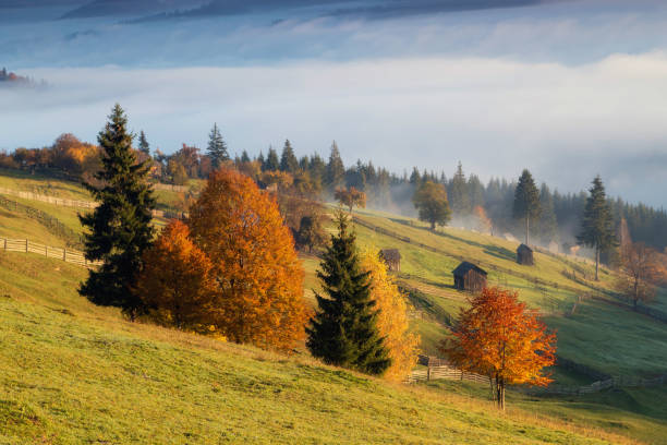 istock Foggy morning in Bucovina 1060433212