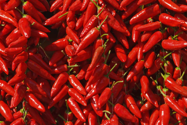 Calabrian red pepperoncino