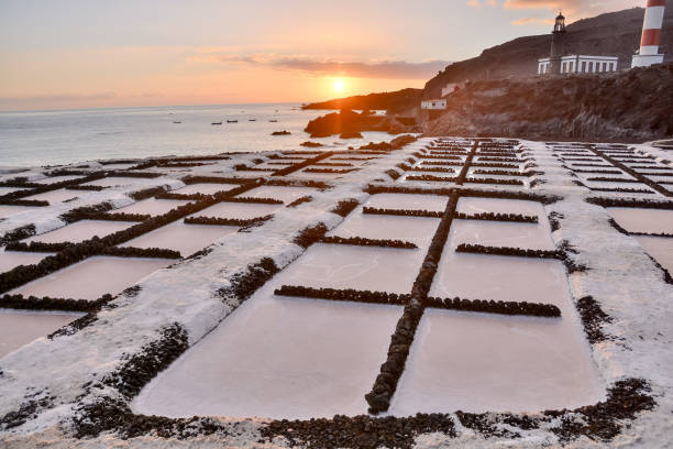 istock Salt Flats in the Canry islands 1060438546