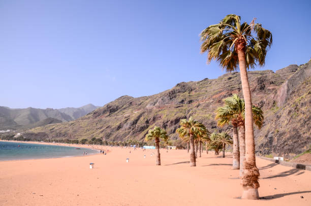 istock Teresitas Beach in Tenerife 1060440872
