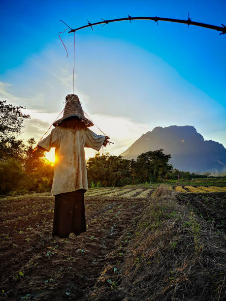 istock Setting sun shining through a scarecrow with Doi Luang Mountain in the background, Chiang Dao, Northern Thailand. 1060448356