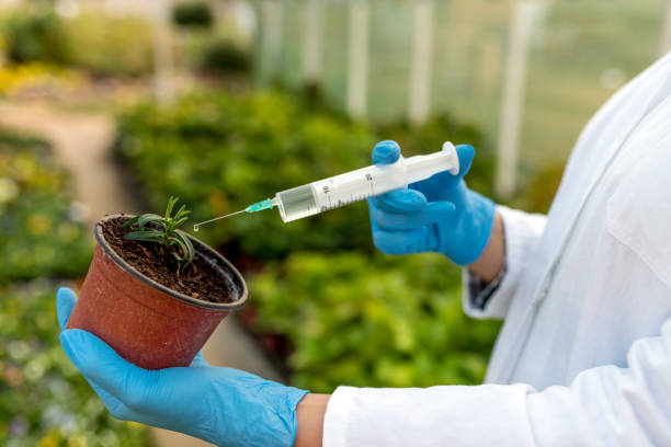 istock Scientist treating a plant with chemicals 1060449090