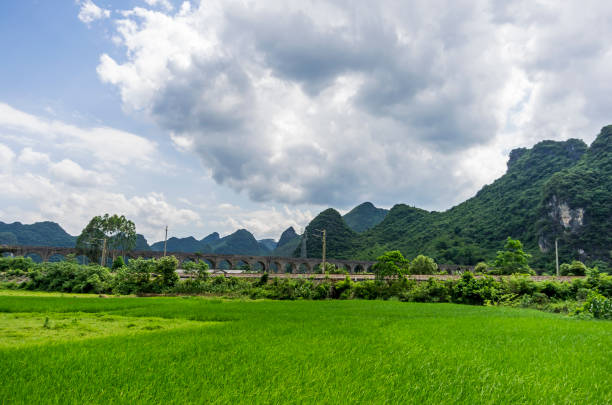 istock Green rice field with mountains background 1060451396
