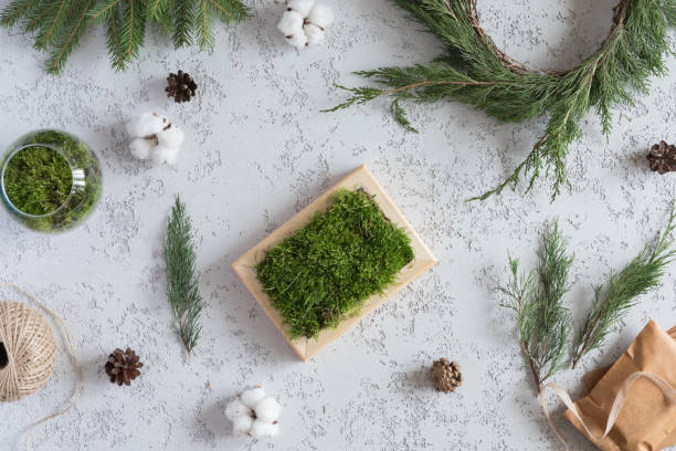 istock Natural christmas pattern from fir twigs and cones, branches, wreath, moss. Evergreen needles background, flat lay and top view 1060452634