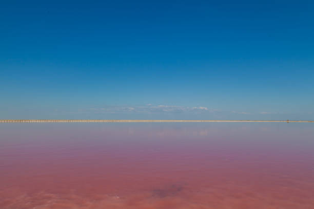 istock Pink Salt water Lake pink background z x 1060471082