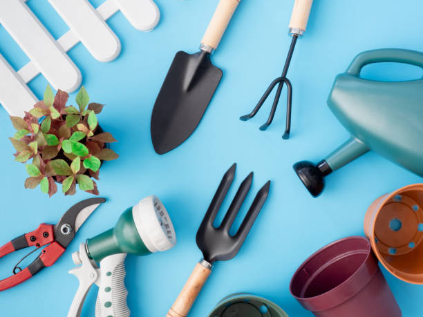 istock top view of garden concept with Gardening tools on blue background. 1060471268