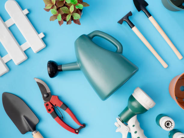 istock top view of garden concept with Gardening tools on blue background. 1060471332