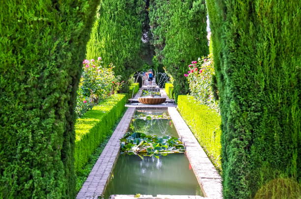 generalife gardens near alhambra, granada, spain - cypress tree fotos imagens e fotografias de stock
