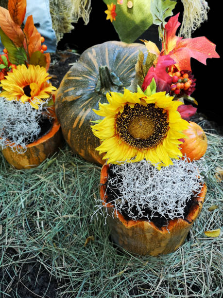 istock Halloween garden decoration 1060490488
