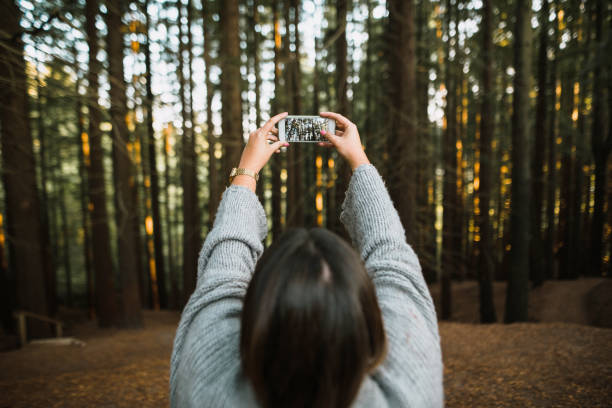 istock Woman taking a picture of a forest 1060491024