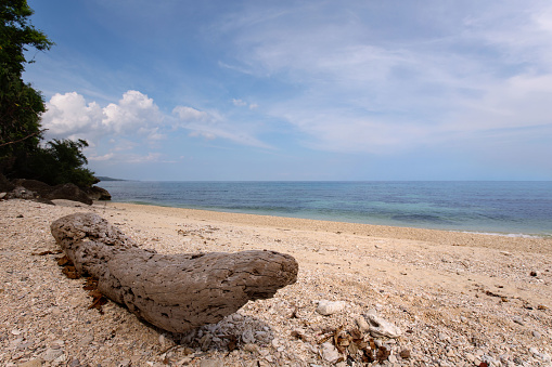 trunk at the coral beach on a sunny day and tranquil sea scape scene, beautiful nature artistic photo