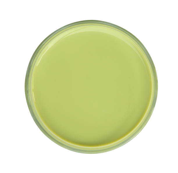 istock Green tea milk in a glass top view isolated on white background 1060495810