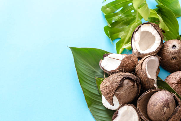 istock Coconut with tropical leaves on a blue background. Flat 1060498618
