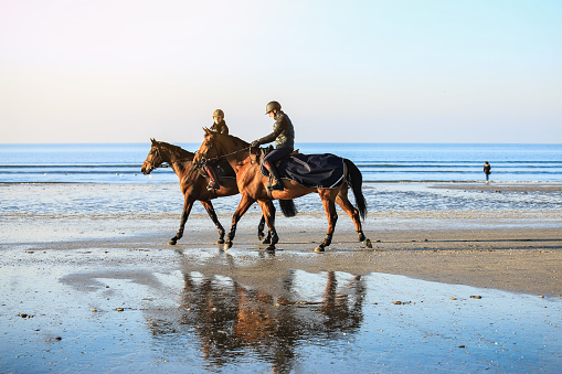 Deauville, France - December 29, 2016 : Selective focus on the man riding horses on the beach in Deauville, Normandy, France