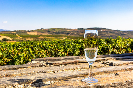 Glass of sparkling white wine on a Douro valley vineyard background. Muscatel culture in Portugal.