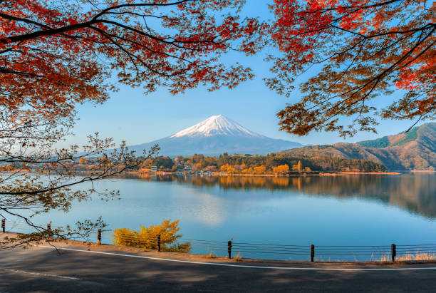 monte fuji sul lago kawaguchiko con alba al mattino e autunno foglia d'acero rosso colorato. - japanese maple leaf water japan foto e immagini stock