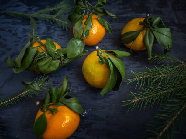 istock Mandarin fruit with leaf on dark background, fir branches 1060514684