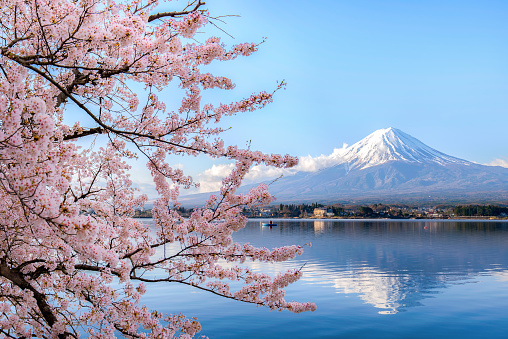 Monte fuji en el lago kawaguchiko con flor de cerezo en Yamanashi cerca de Tokio, Japón. photo