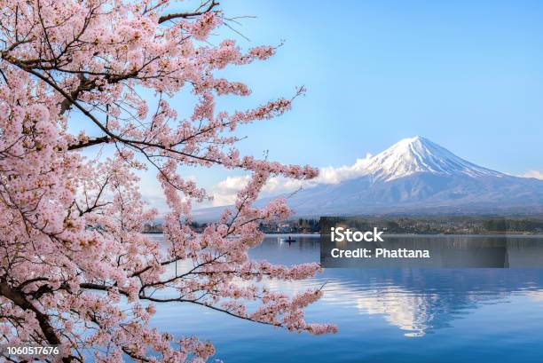 Mount Fuji At Lake Kawaguchiko With Cherry Blossom In Yamanashi Near Tokyo Japan Stock Photo - Download Image Now