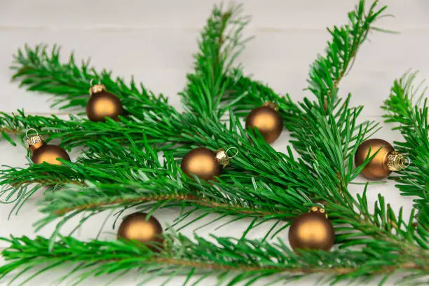 Closeup of spruce branch with Christmas decoration.