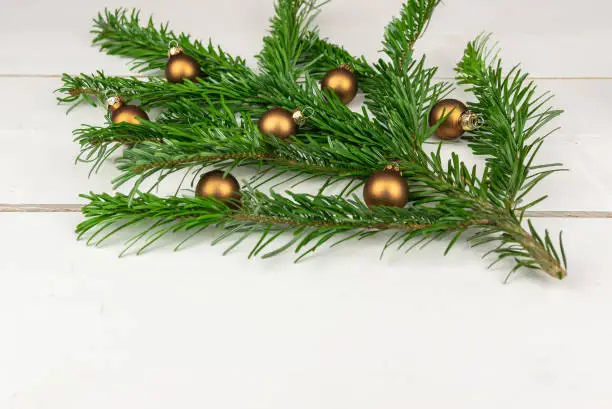 Closeup of spruce branch with Christmas decoration.