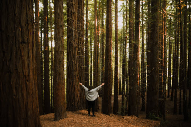 istock Young woman with arms raised by a forest 1060525658