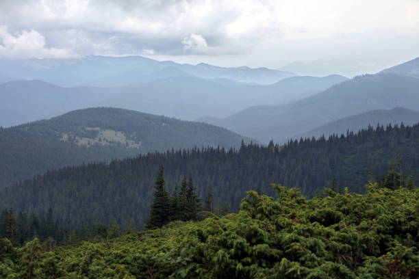istock Clouds and fog over Carpathian mountains 1060528936