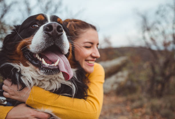 junge frau mit hund - fogs stock-fotos und bilder