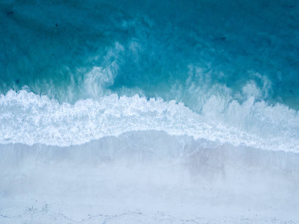 示波器海洋 - getty 個照 片及圖片檔