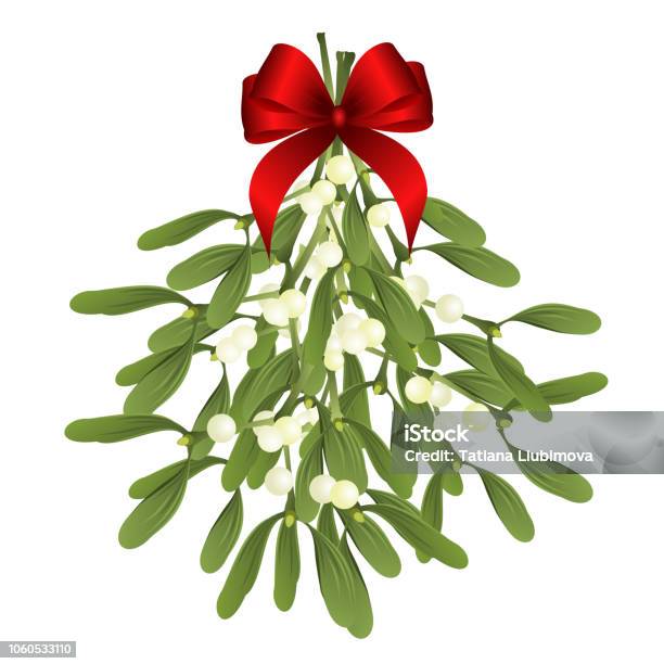 Mistletoe Sprigs With Red Bow Vector Illustration For Christmas Design Stock Illustration - Download Image Now