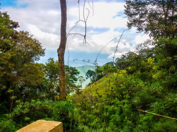 istock Trail to Pico da Bandeira 1060536630