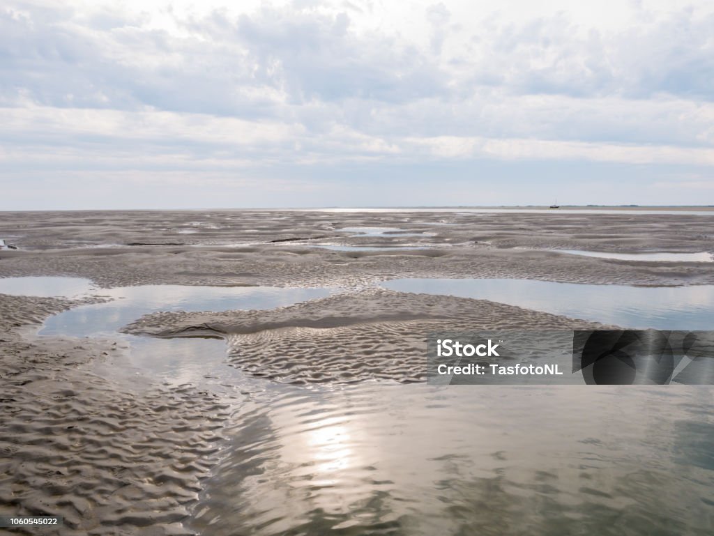 갯벌 바다 근처에 Boschplaat 쉘 링 네덜란드 Waddensea의 썰 기가 갯벌에 대한 스톡 사진 및 기타 이미지 ...