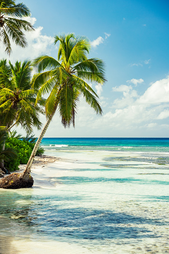 Isla Saona, Dominican Republic – Heaven is a place on earth