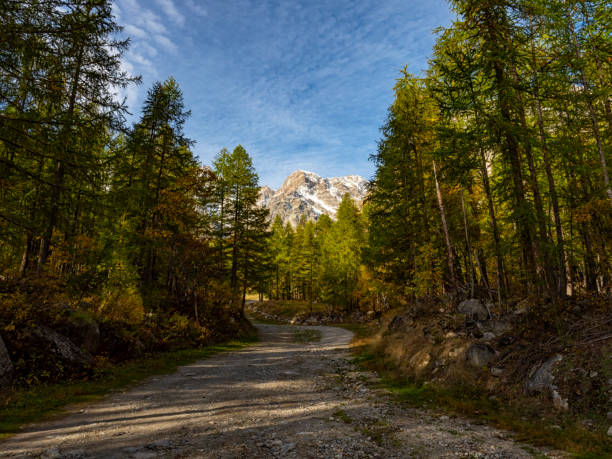 istock Autumn in the alps 1060546002
