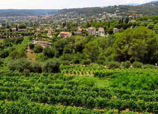 Panoramic landscape near the village Saint-Paul-de-Vence, Provence, South France.