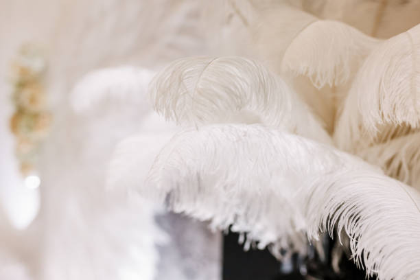 istock White ostrich feather wedding decoration of restaurant 1060553598