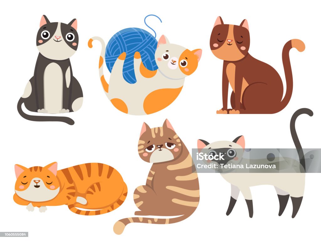 Cute cats. Fluffy cat, sitting kitten character or domestic animals isolated vector illustration collection Cute cats. Fluffy cat, sitting kitten character or domestic animals. Happy funny playful and sleep kitty cats emotion. Cartoon feline isolated icons vector illustration collection Domestic Cat stock vector