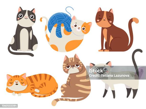 Cute Cats Fluffy Cat Sitting Kitten Character Or Domestic Animals Isolated Vector Illustration Collection Stock Illustration - Download Image Now