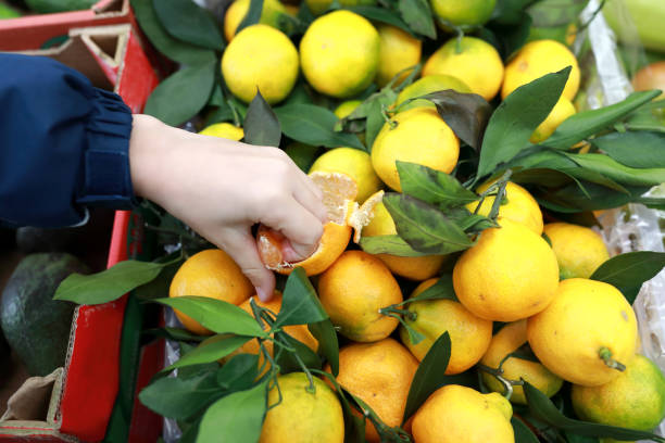 istock Person takes tangerines 1060562578