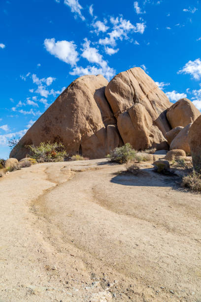 istock Joshua Tree National Park 1060567856