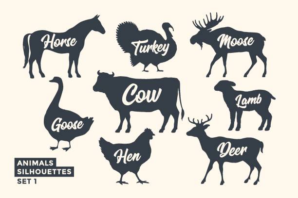 tiere-silhouette-satz. schwarz-weiß-silhouette der tiere - lamb stock-grafiken, -clipart, -cartoons und -symbole