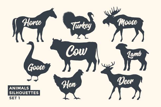 Animals silhouette set. Black-white silhouette of animals Animals silhouette set. Black-white silhouette of animals with lettering names. Design template for grocery, butchery, packaging, meat store. Farm and wild animals theme. Vector Illustration horse outlines silhouette stock illustrations