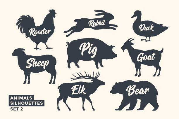 동물 실루엣 세트입니다. 동물의 흑백 실루엣 - pig silhouette animal livestock stock illustrations