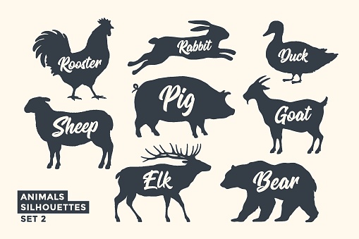 Animals silhouette set. Black-white silhouette of animals with lettering names. Design template for grocery, butchery, packaging, meat store. Farm and wild animals theme. Vector Illustration