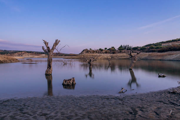 湖の反射 - lake sunset lake dusk water ストックフォトと画像