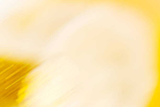 istock Christmas and Happy New year  blurred bokeh background 1060577254