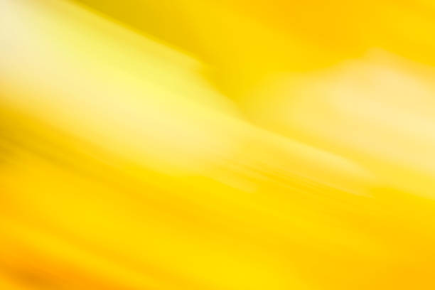 istock Gold motion bokeh background for Christmas background 1060578334