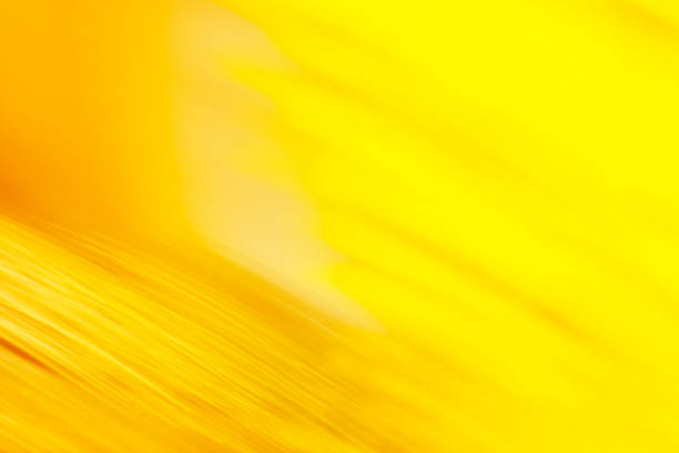 istock Gold motion bokeh background for Christmas background 1060578338